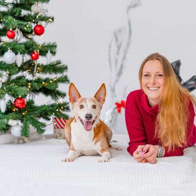 Hundetreffen-Trainingspartner gesucht-Bild