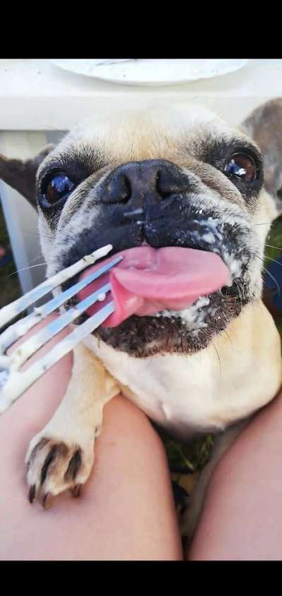 Lieblingsbild-Beitrag-Bild