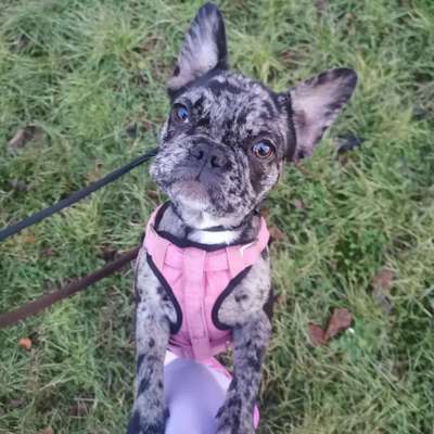 Zeigt eure Portraits-Beitrag-Bild