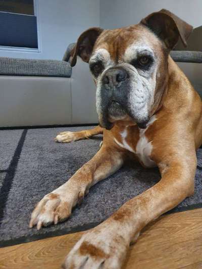 Die graue Eminenz-Beitrag-Bild