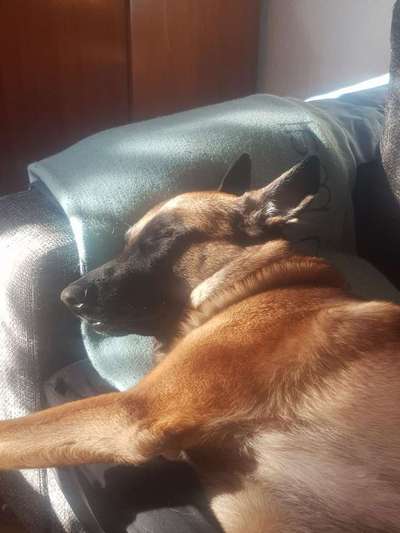 Die unbequemsten und lustigsten Schlafpositionen-Beitrag-Bild