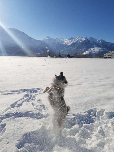 Fotochallenge 61 ~ Schnee-Beitrag-Bild