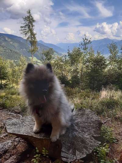 Fotochallenge Nr. 62 Romantische Momente-Beitrag-Bild