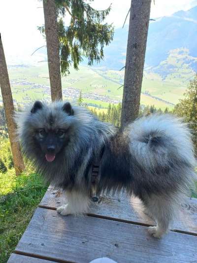 Doppelgänger gesucht !-Beitrag-Bild