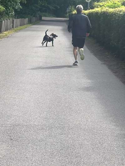 Giftköder-Aggressiver Hund/Halter im Stadtwald KR-Bild