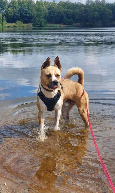 Foto Challenge - BEENDET - bitte aktuelle Challenge nutzen-Beitrag-Bild