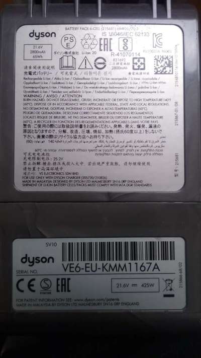 Entfernung Hundehaare in der Wohnung-Beitrag-Bild