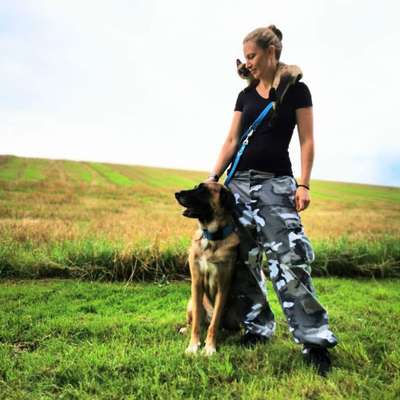 Hundetreffen-Gassi und Spielfreude gesucht