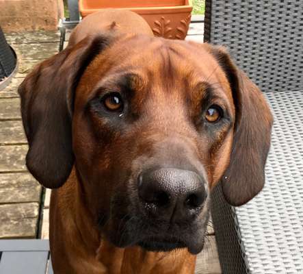 Fotochallange Nr. 57     PORTRÄT.   Beendet!!!!!!!!-Beitrag-Bild