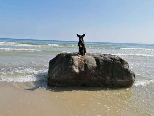 Theos Fotochallange Nummer 4-Beitrag-Bild