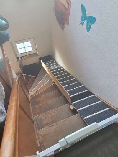 Hundetreppe fürs Dachzelt-Beitrag-Bild