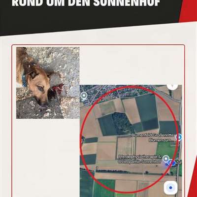 Giftköder-Giftköder-Bild