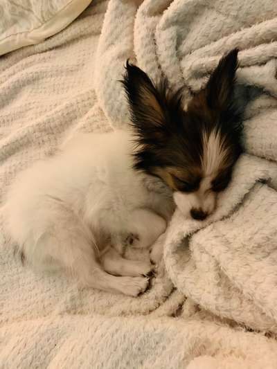 Sie werden so schnell erwachsen ...-Beitrag-Bild