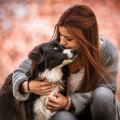 Hundetreffen-Gassitreff im 7-Tischwald-Profilbild