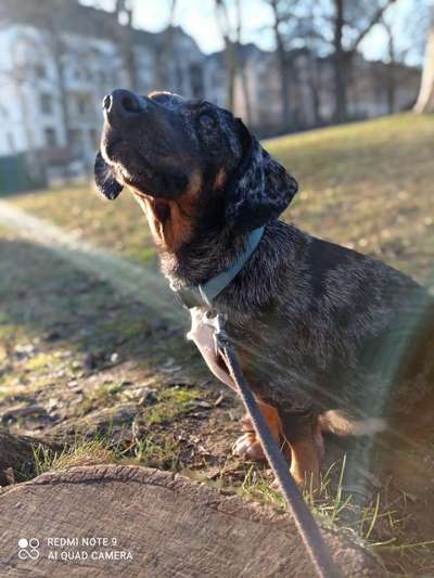 Fotochallenge No. 26                                     Wald und Wiese-Beitrag-Bild