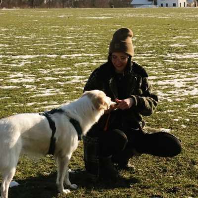 Hundetreffen-Mantrailing-Bild