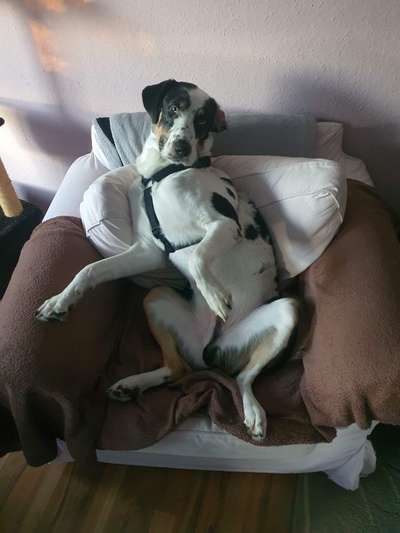 Fotochallange Nr. 57     PORTRÄT.   Beendet!!!!!!!!-Beitrag-Bild