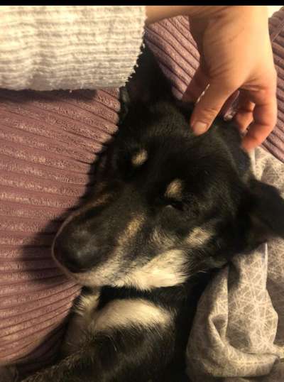 Fotochallange Nr. 57     PORTRÄT.   Beendet!!!!!!!!-Beitrag-Bild