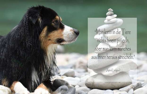 Medizinische Dienstleistungen-Pawlou GbR-Bild