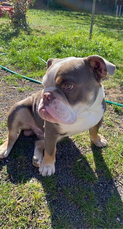 Zeigt mal eure besten Freunde-Beitrag-Bild