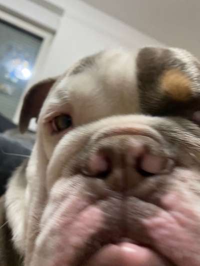 Un...scharf Bilder-Beitrag-Bild