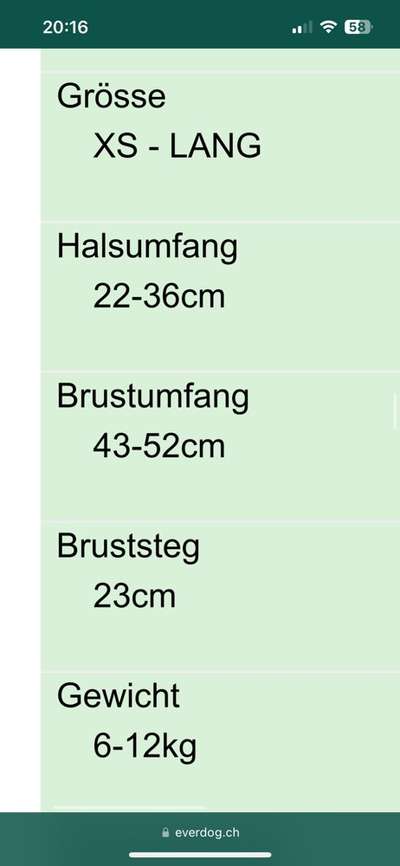 Wie sitzt mein Geschirr?-Beitrag-Bild