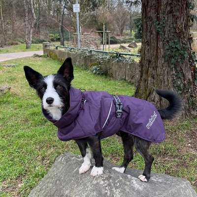 Wintermantel gesucht-Beitrag-Bild