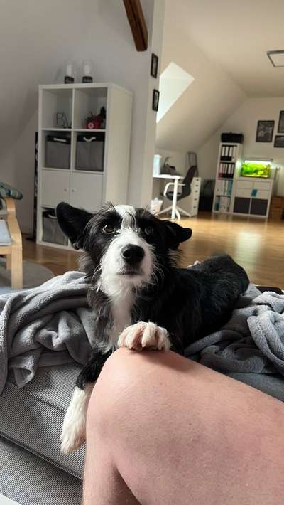 147. Foto Challenge: Bettelblick-Beitrag-Bild