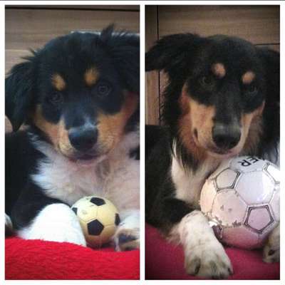 Vorher.... Nachher-Beitrag-Bild