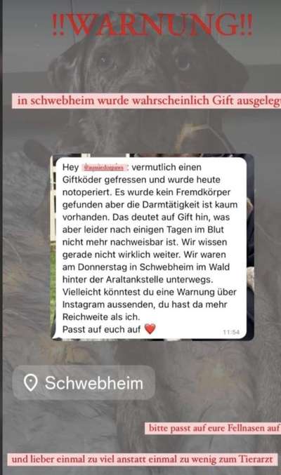 Giftköder-Wahrscheinlich Giftköder-Bild