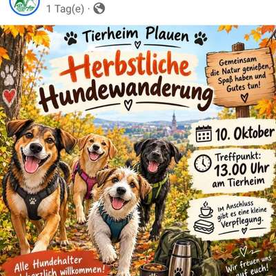 Hundetreffen-Herbstliche Hundewanderung-Bild