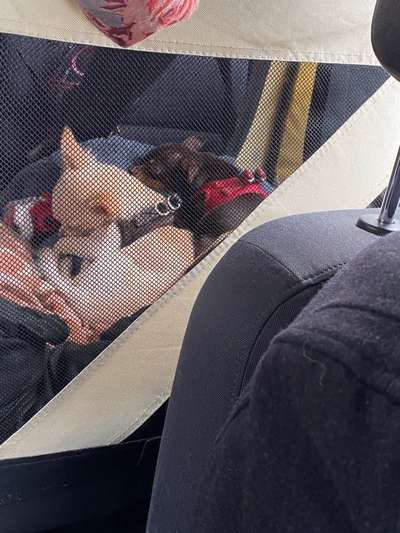 CHALLENGE NR. 18 - ON TOUR-Beitrag-Bild