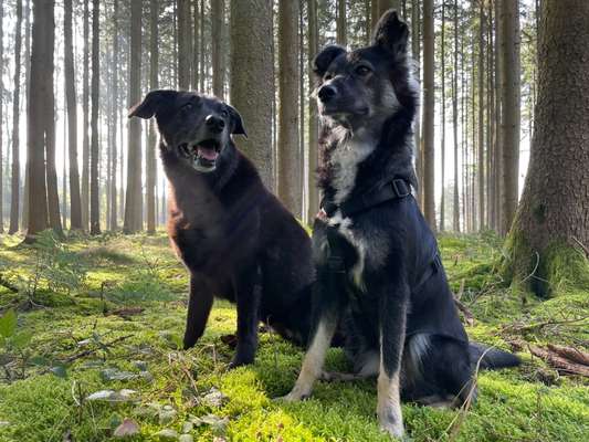 Fotowettbewerb Natur-Beitrag-Bild