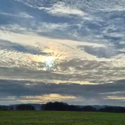 Hundeauslaufgebiet-Erbericher Kirchweg-Bild