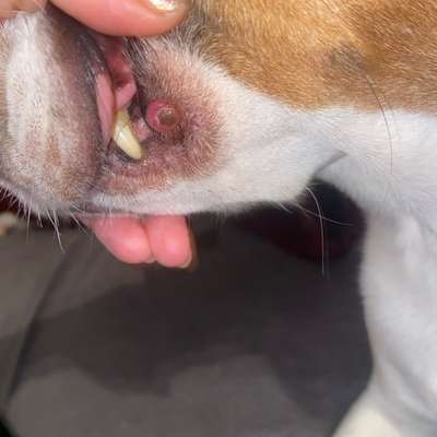 Weiß jemand was das ist?-post-image