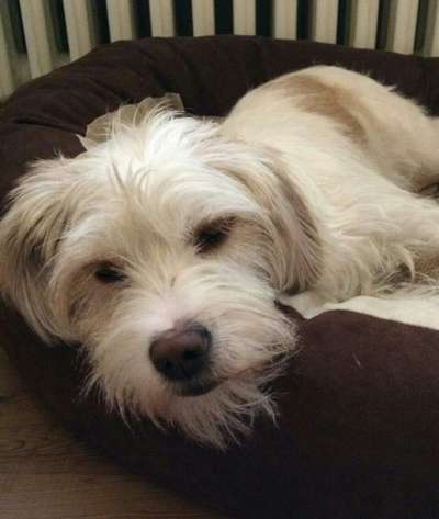 Fotochallange Nr. 57     PORTRÄT.   Beendet!!!!!!!!-Beitrag-Bild