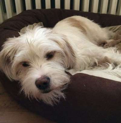 Lieblingsbild-Beitrag-Bild