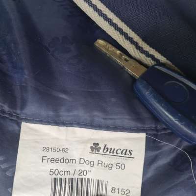 Liebhaber des Deutschen Pinscher gesucht.-Beitrag-Bild