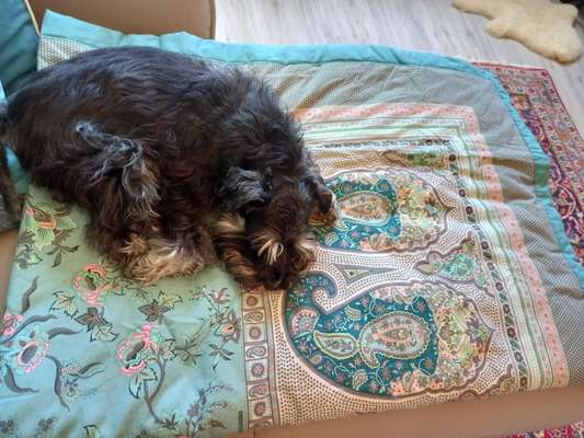 Geschlossene Box, eure Meinungen-Beitrag-Bild