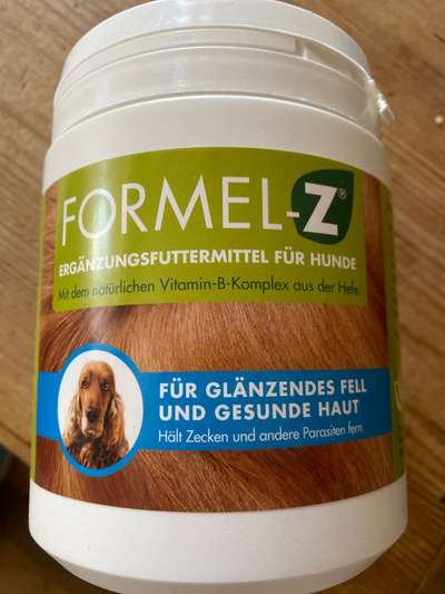 Tabletten oder spot on-Beitrag-Bild