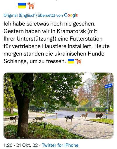 Zeigt her Eure Futternäpfe-Beitrag-Bild