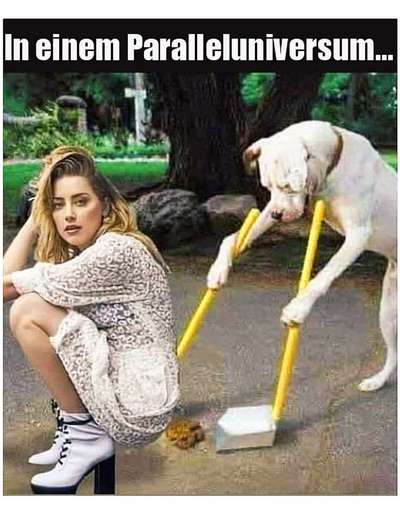 Hunde Memes-Beitrag-Bild