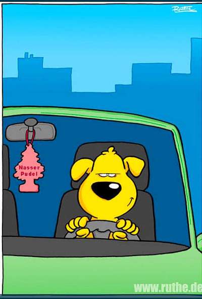 Hunde Memes-Beitrag-Bild