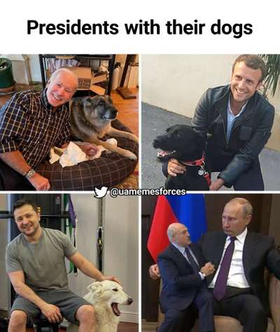 Hunde Memes-Beitrag-Bild