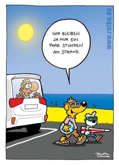 Hunde Memes-Beitrag-Bild