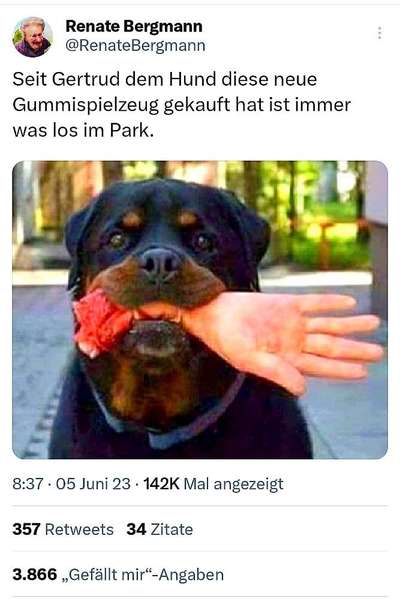 Hunde Memes-Beitrag-Bild