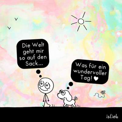 Hunde Memes-Beitrag-Bild