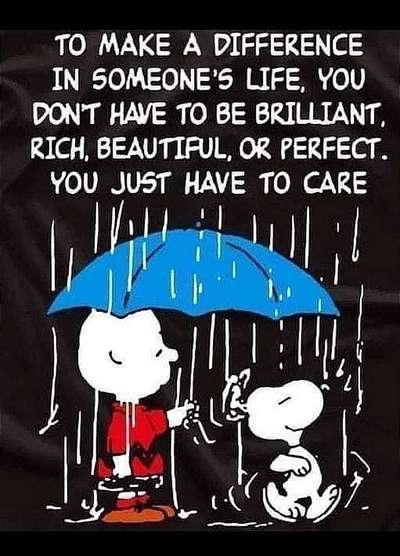 Hunde Memes-Beitrag-Bild