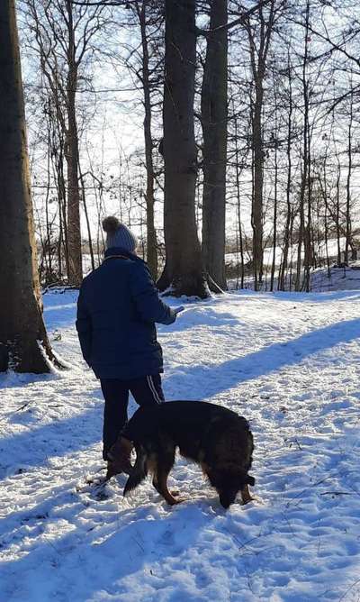 eure Spitznamen für die Vierbeiner-Beitrag-Bild