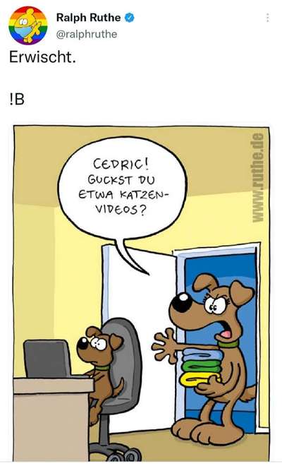 Hunde Memes-Beitrag-Bild